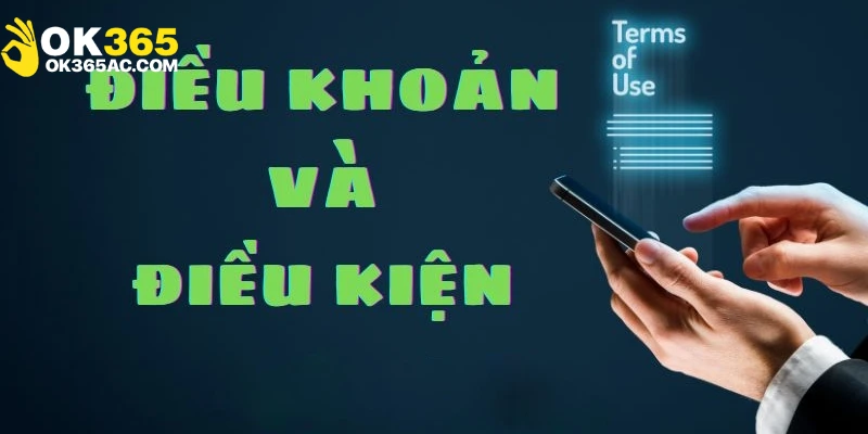 Các điều khoản và điều kiện liên quan tài khoản hội viên