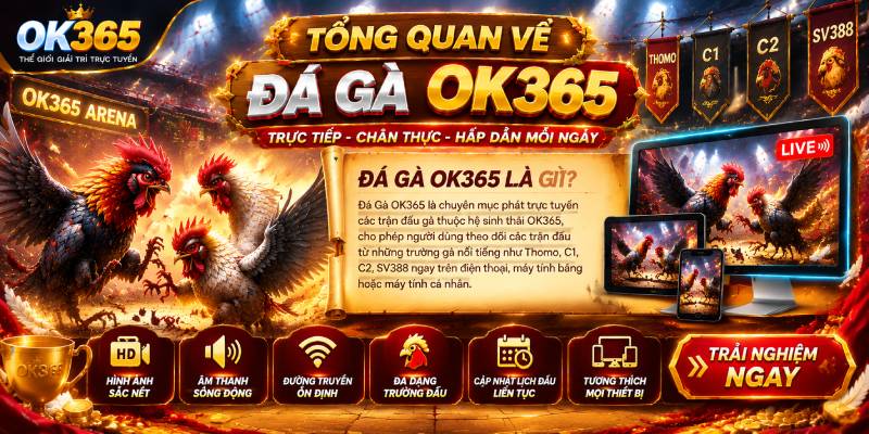 Đá Gà OK365